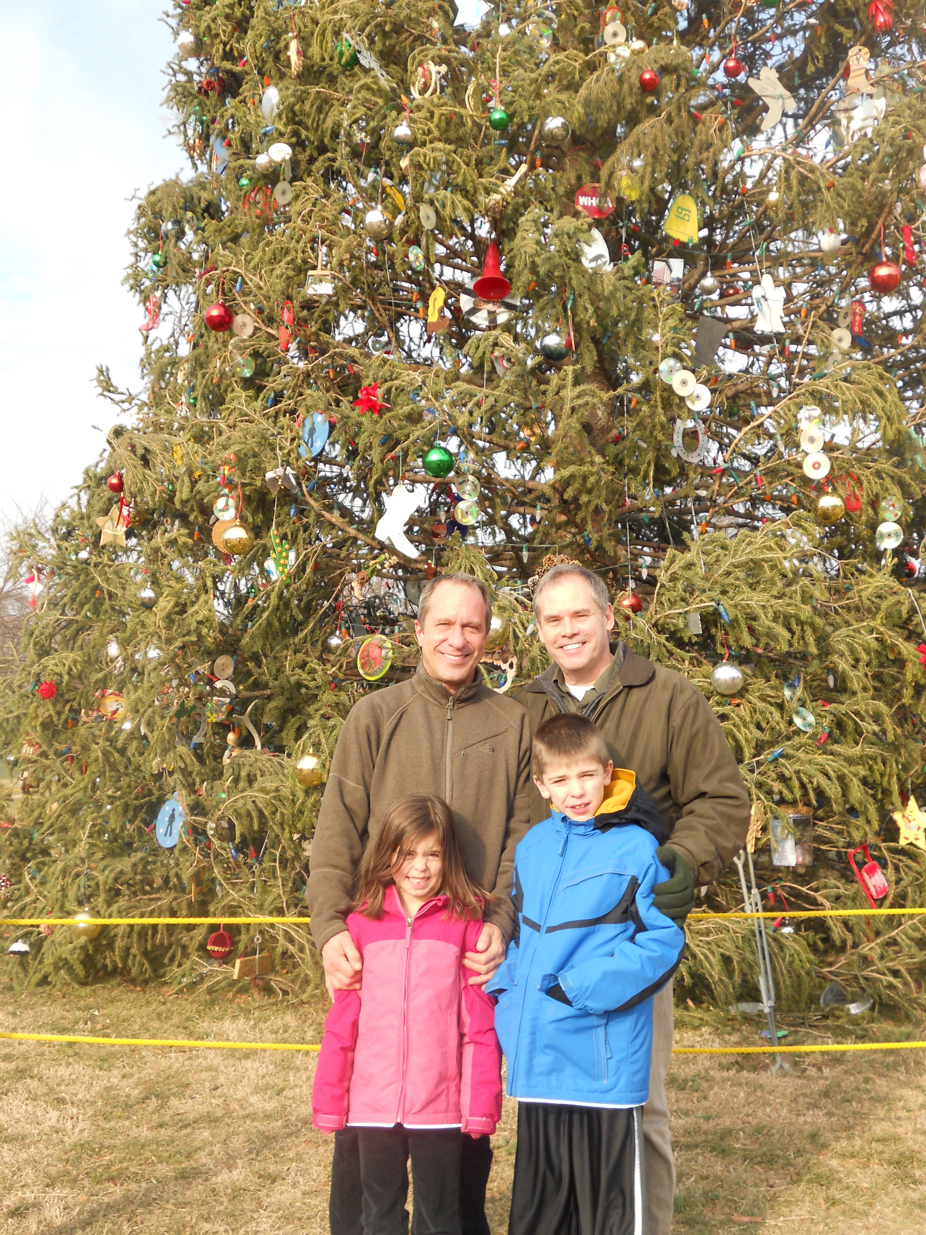 Capitol Christmas Tree, 2010