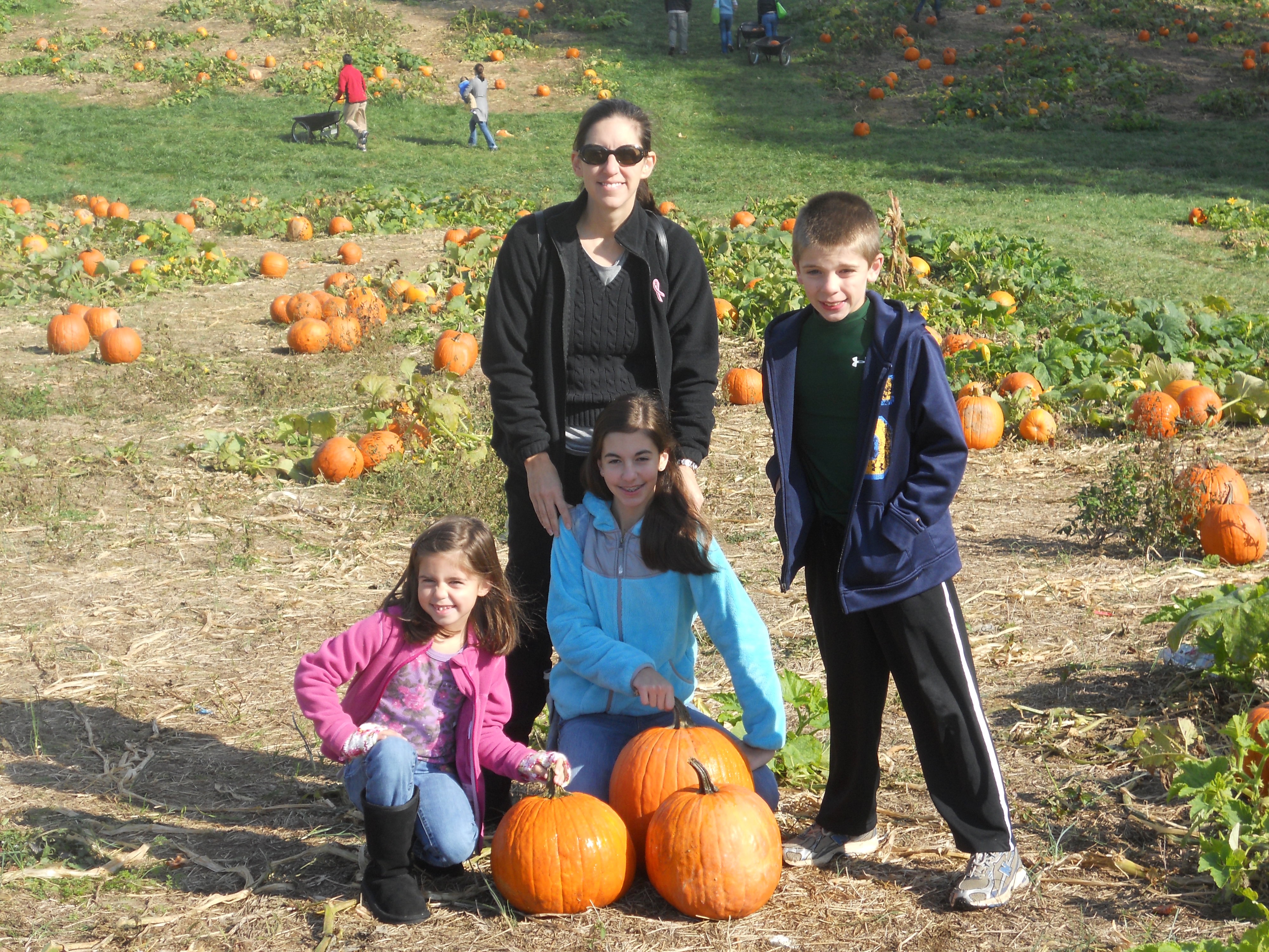 Pumpkin Patch, 2011