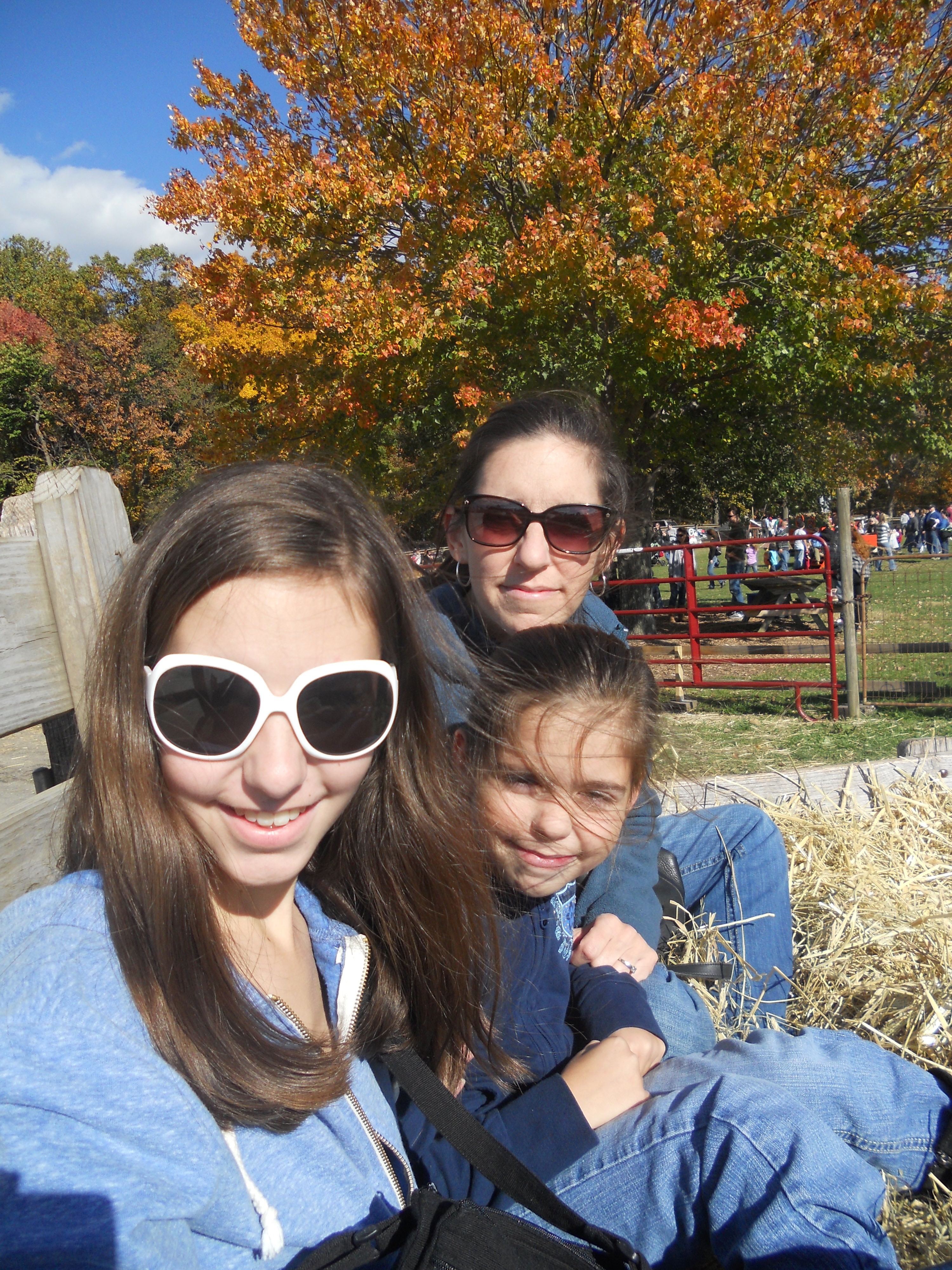 Hay Ride, 2012