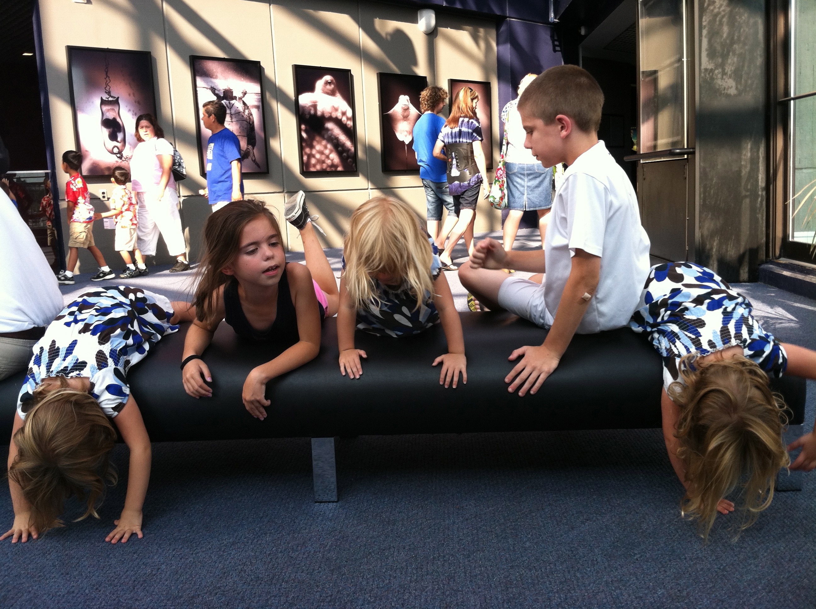 National Aquarium, 2012